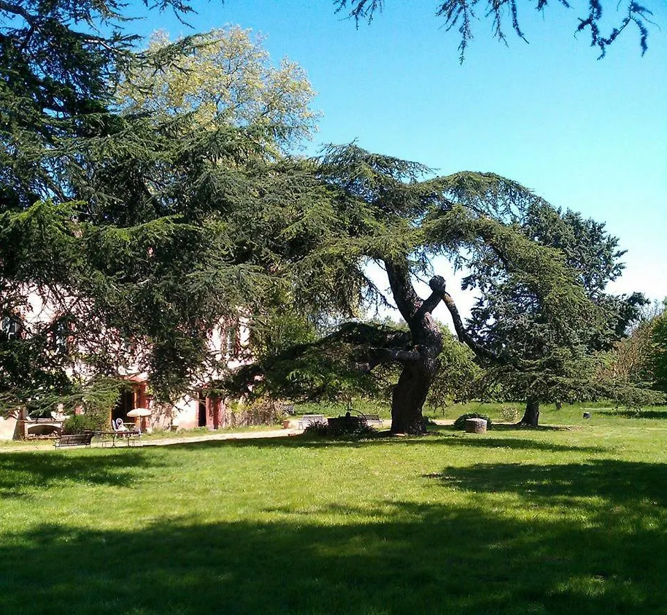 Domaine Du Beyssac Villa Cintegabelle Holiday home
